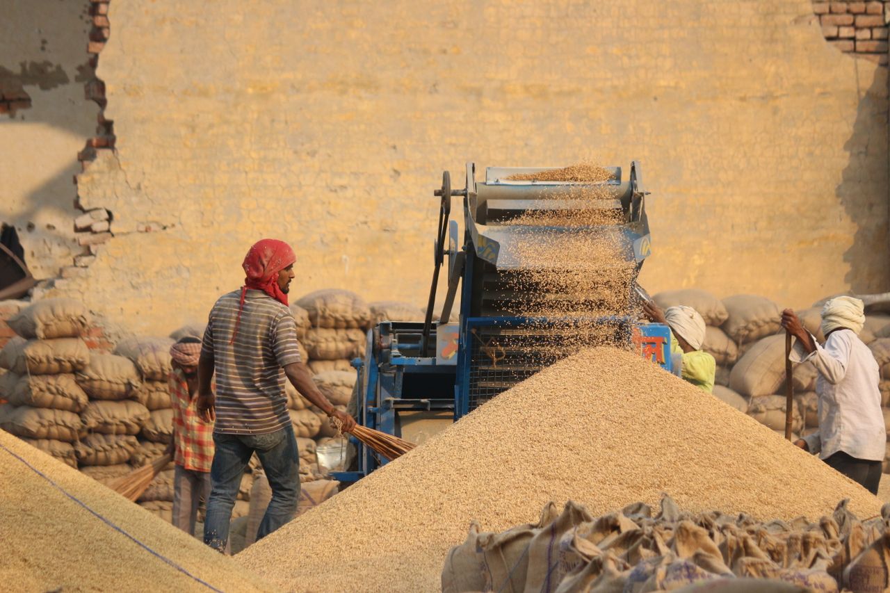 Crafting Captivating Headlines: Your awesome post title goes here Workers operating a grain machine in a rural setting, creating large piles of grains.
